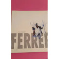 Couverture du livre Casimir Ferrer